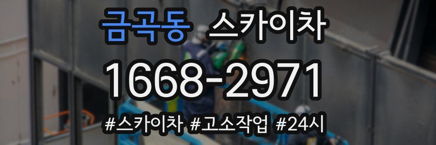 금곡동 스카이차