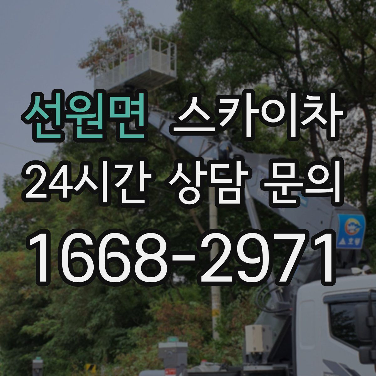 선원면 스카이차