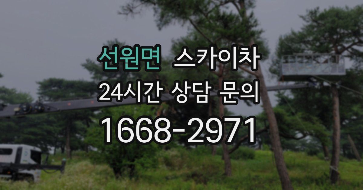 선원면 스카이차