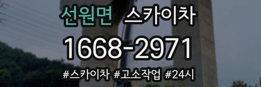 선원면 스카이차