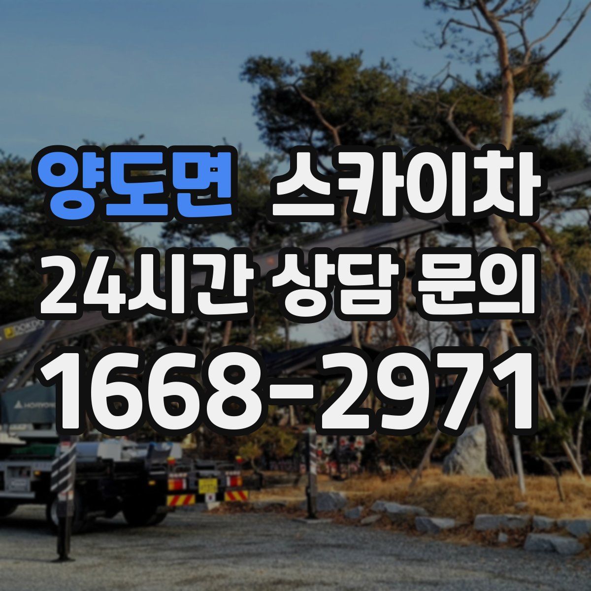 양도면 스카이차