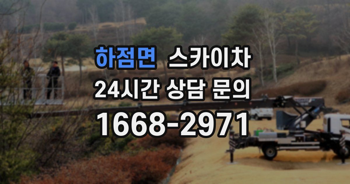 하점면 스카이차