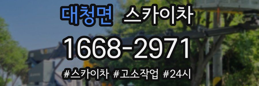 대청면 스카이차