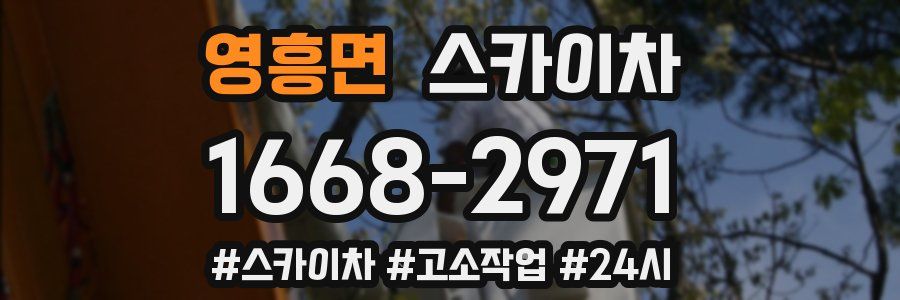 영흥면 스카이차