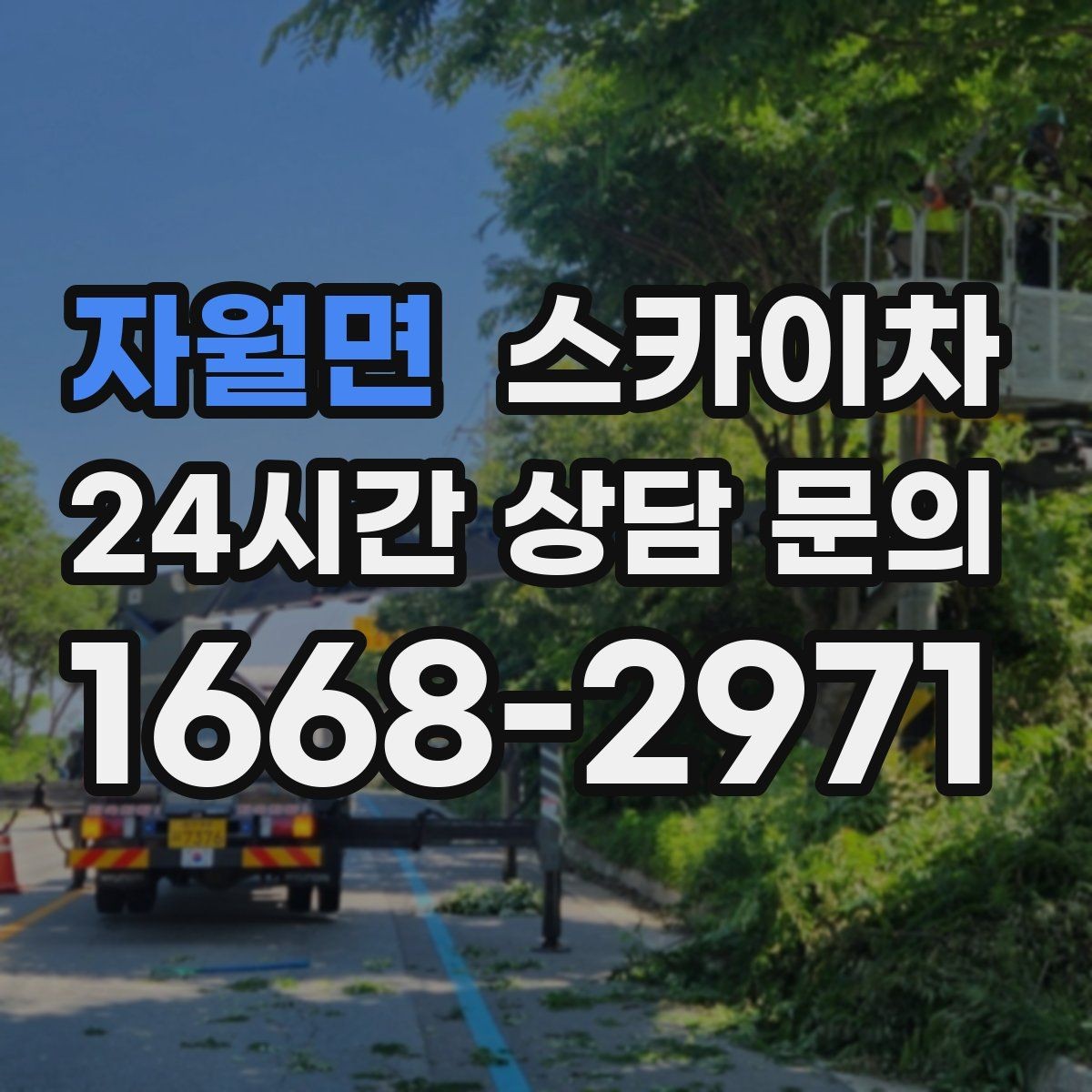 자월면 스카이차 주차 통제 협조가 필요한 이유