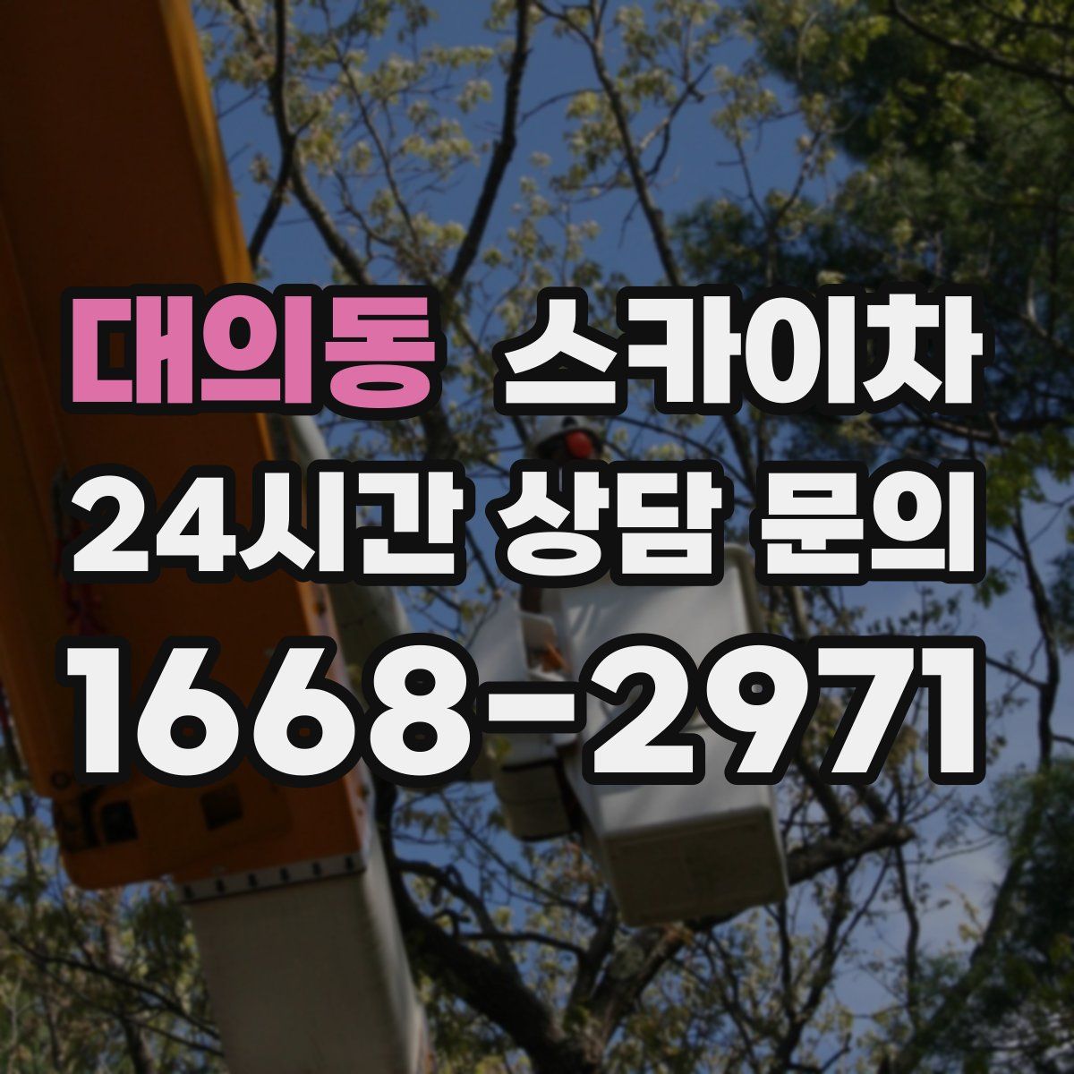 대의동 스카이차