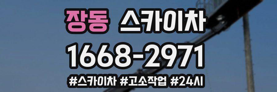 장동 스카이차