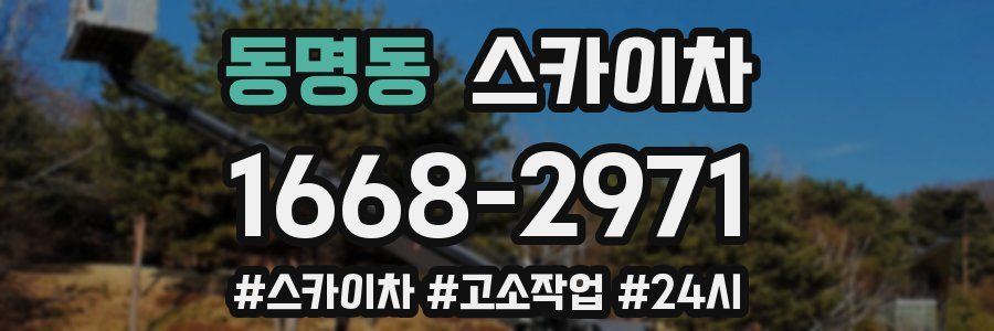 동명동 스카이차