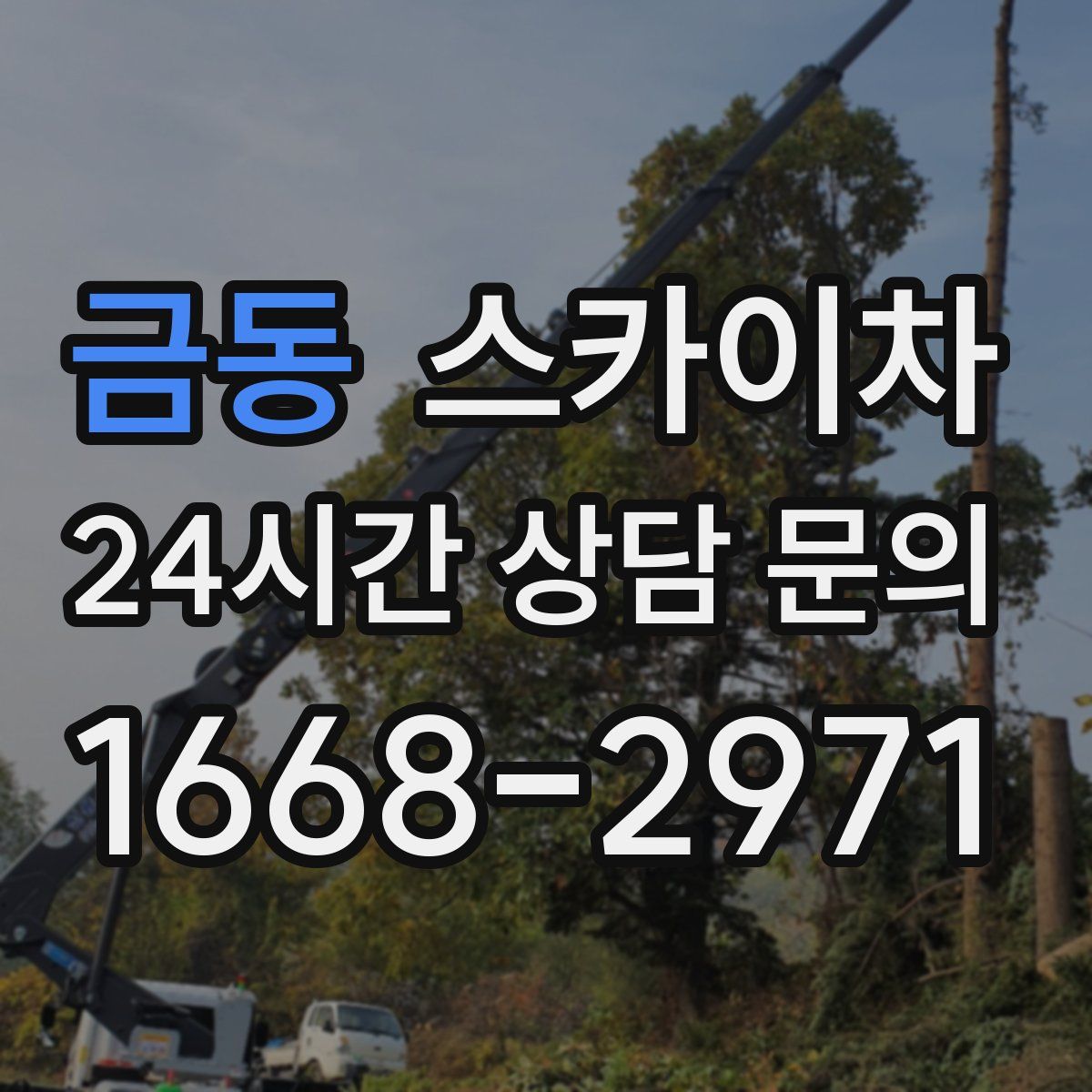 금동 스카이차