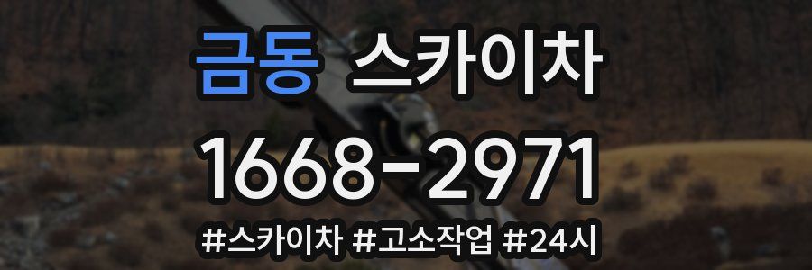 금동 스카이차