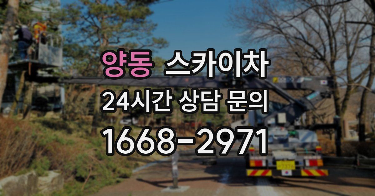 양동 스카이차