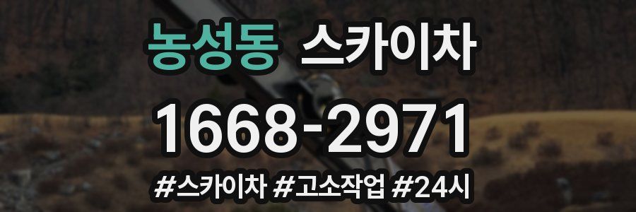 농성동 스카이차