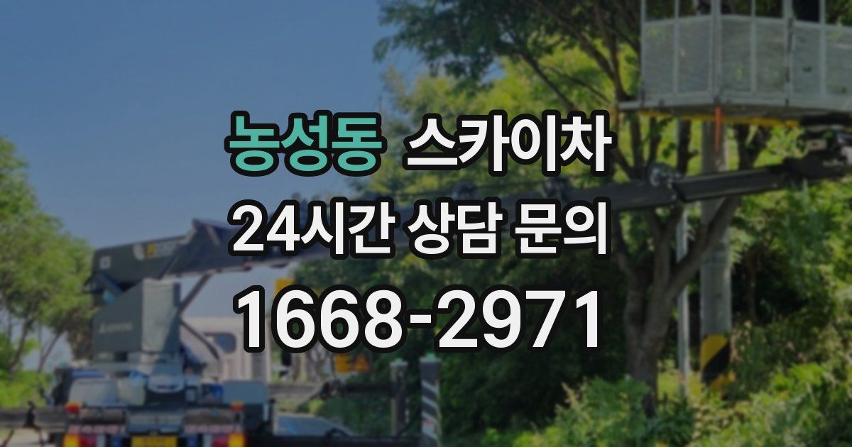 농성동 스카이차