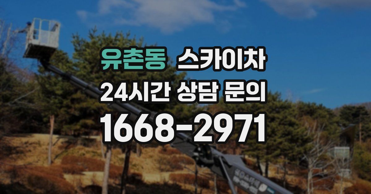 유촌동 스카이차
