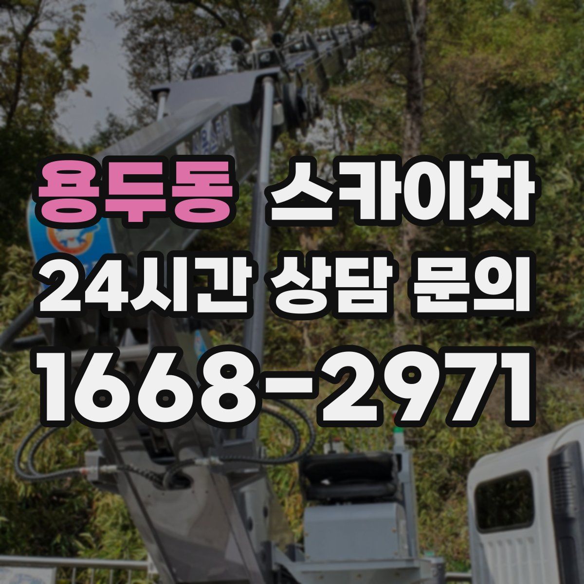 용두동 스카이차