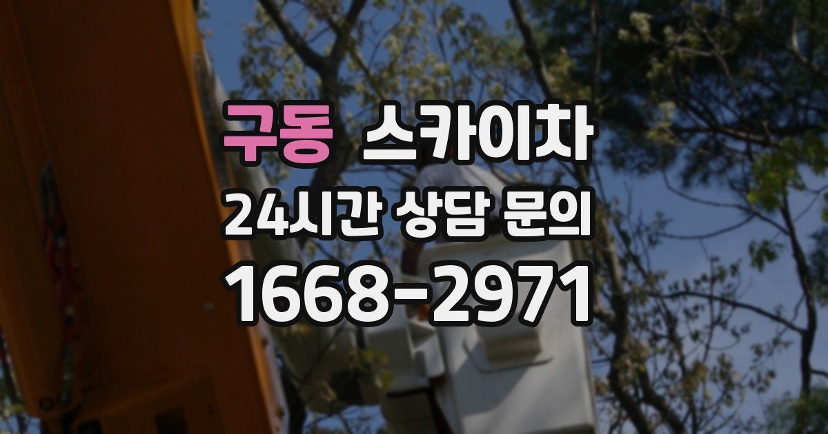 구동 스카이차