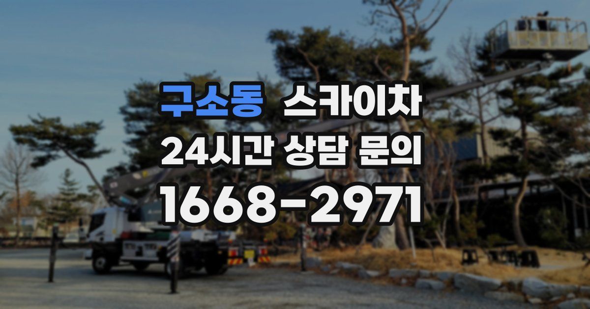 구소동 스카이차