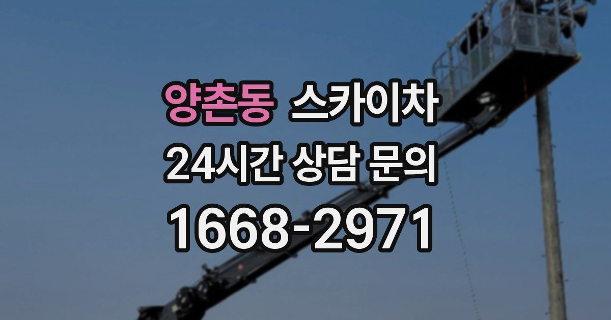 양촌동 스카이차