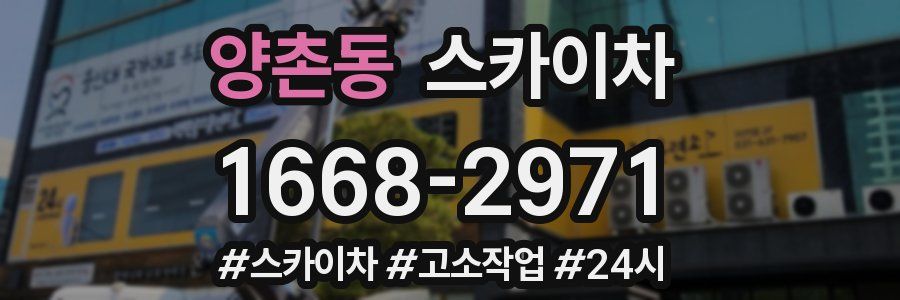 양촌동 스카이차