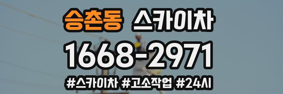 승촌동 스카이차