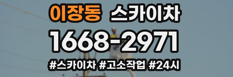 이장동 스카이차
