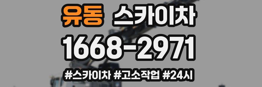 유동 스카이차