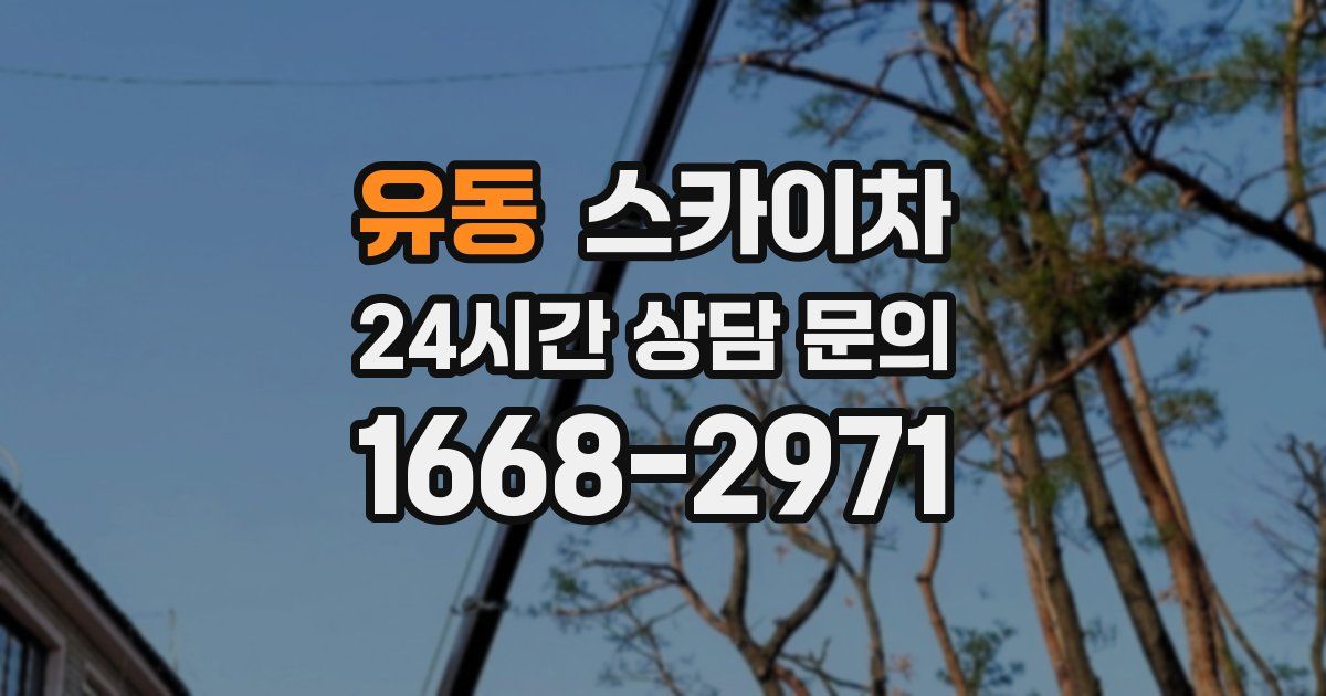 유동 스카이차