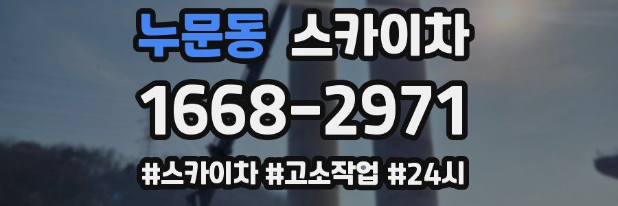 누문동 스카이차