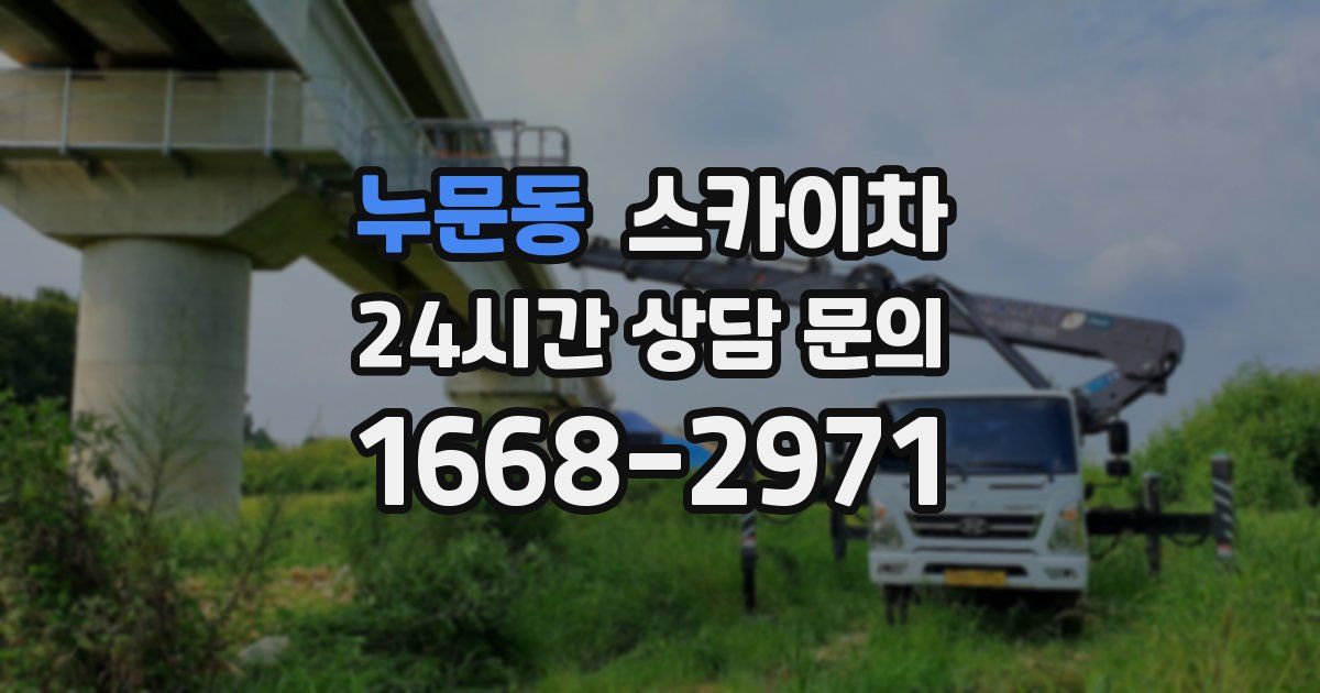 누문동 스카이차