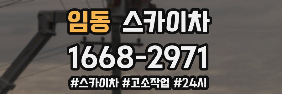 임동 스카이차
