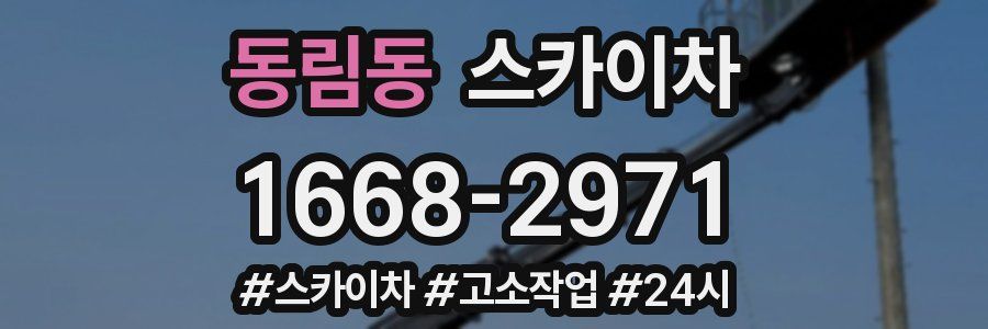 동림동 스카이차