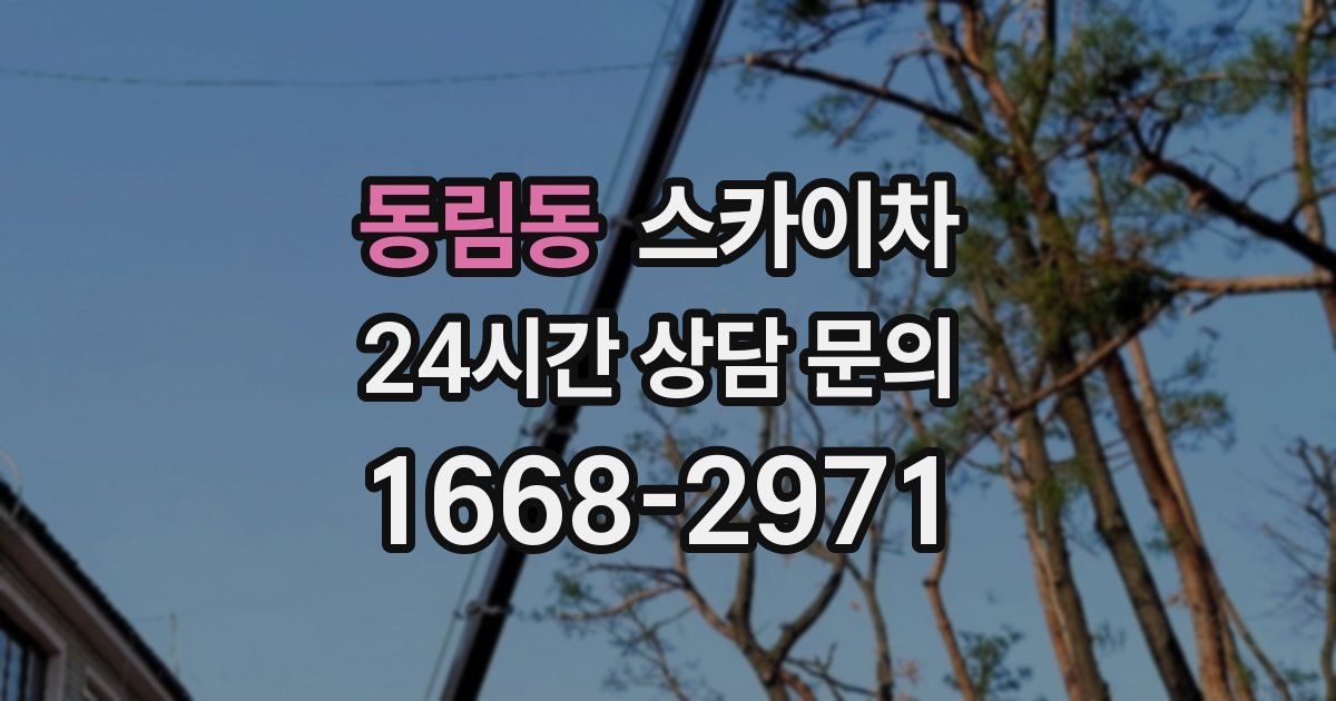 동림동 스카이차