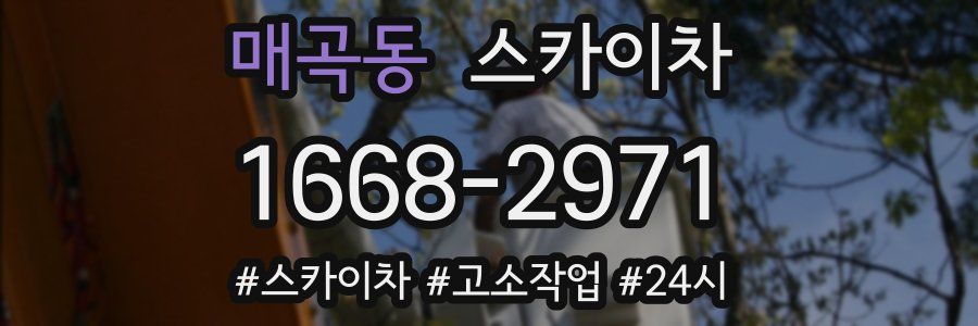 매곡동 스카이차