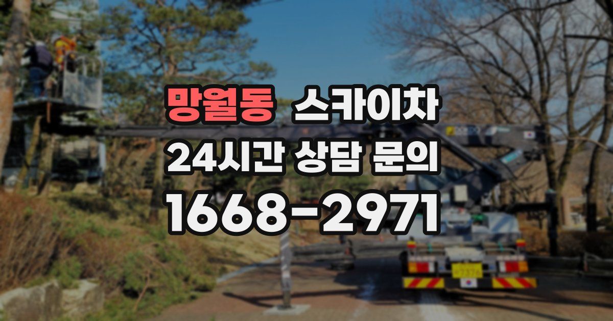 망월동 스카이차