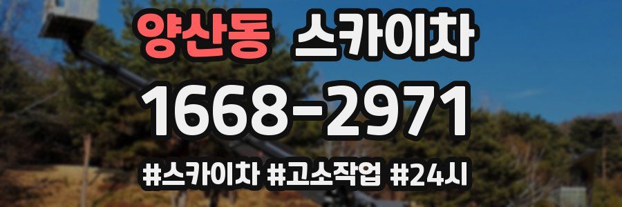 양산동 스카이차