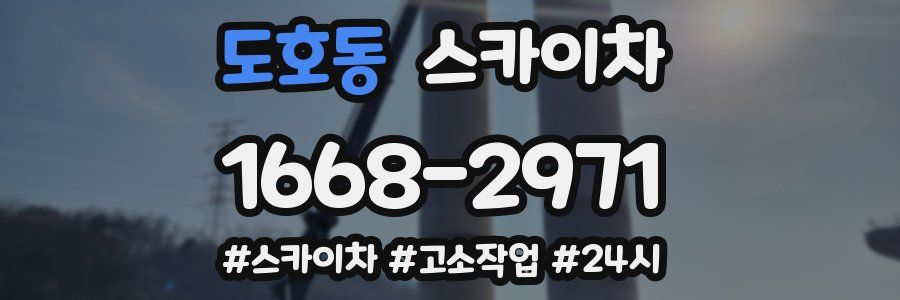 도호동 스카이차