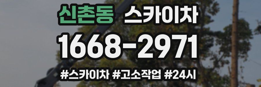 신촌동 스카이차