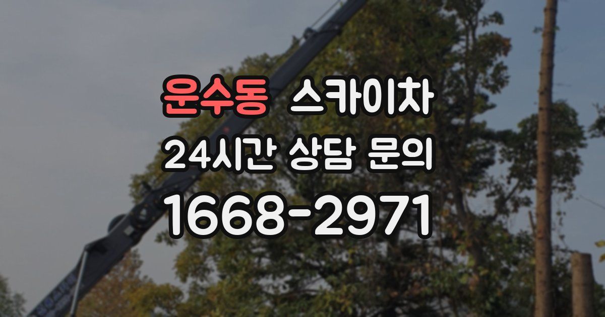 운수동 스카이차