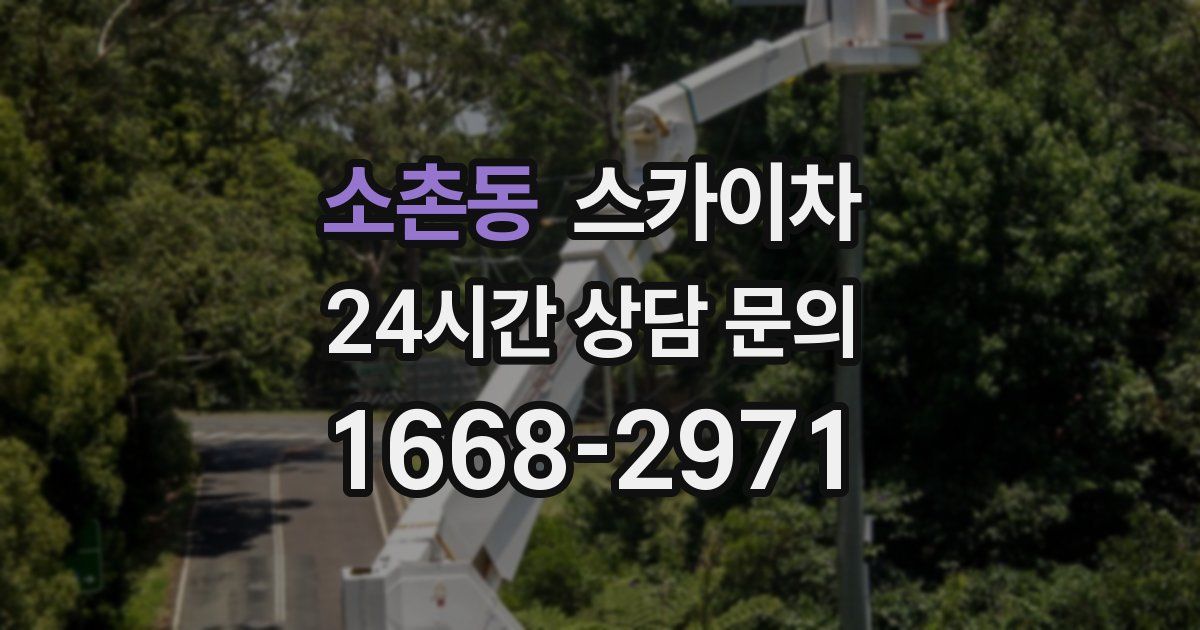 소촌동 스카이차