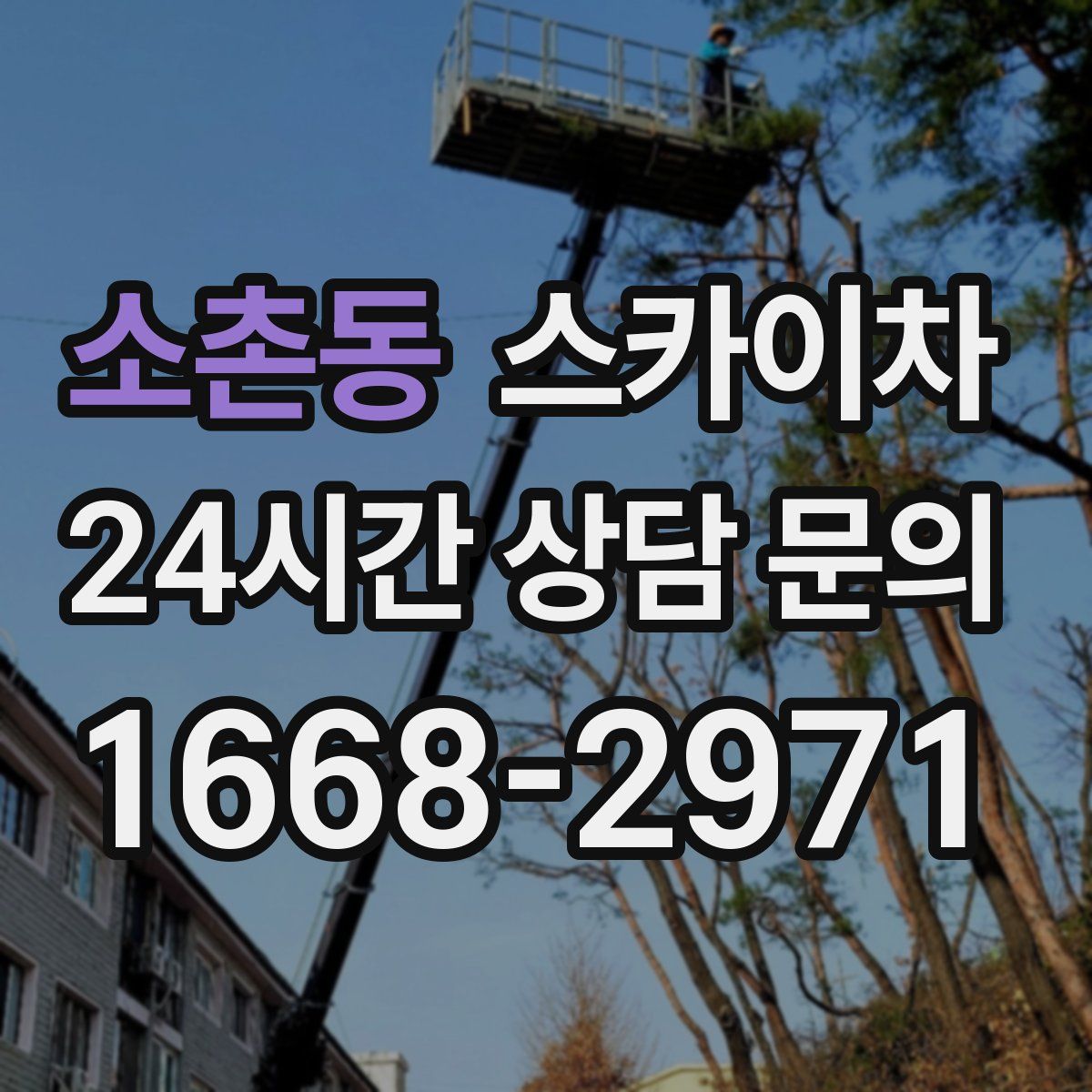 소촌동 스카이차