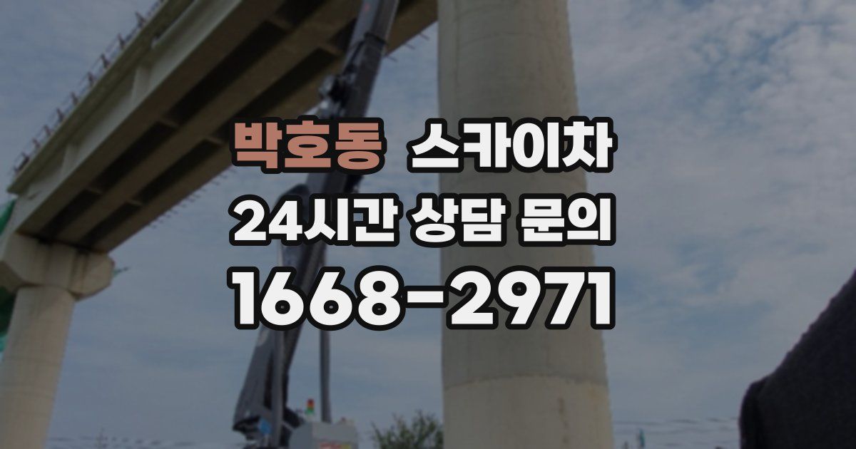 박호동 스카이차