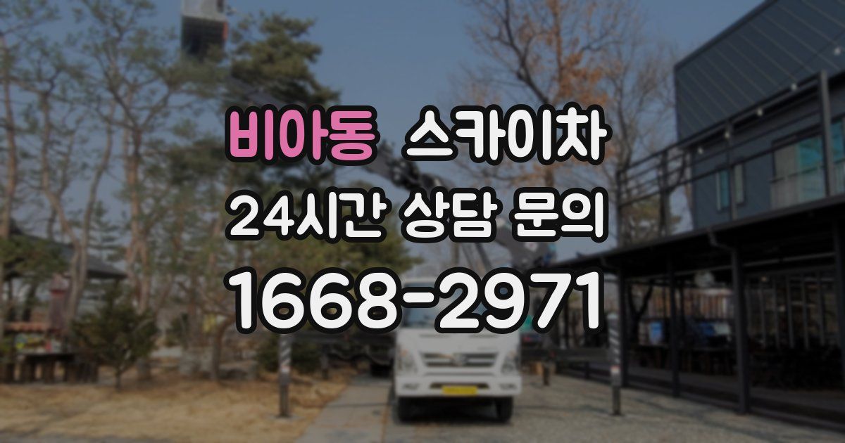 비아동 스카이차