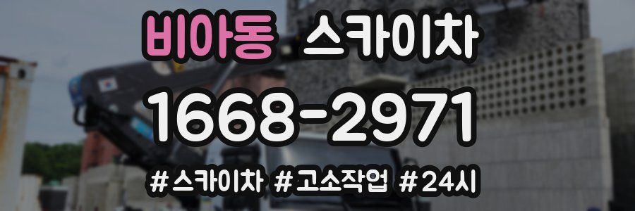 비아동 스카이차