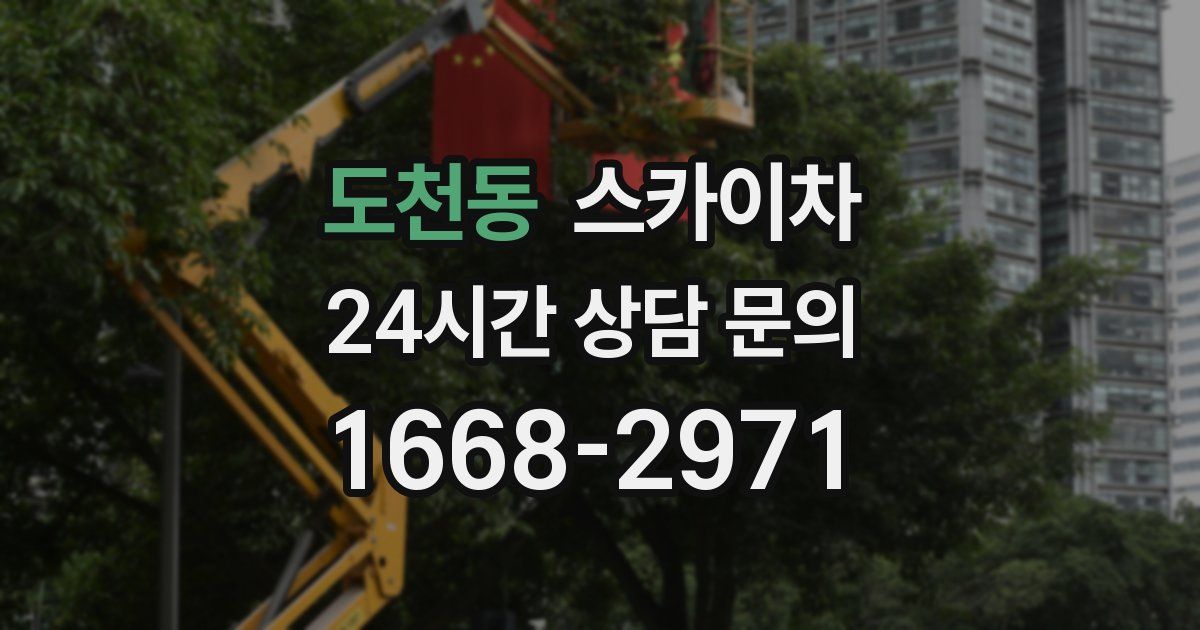 도천동 스카이차