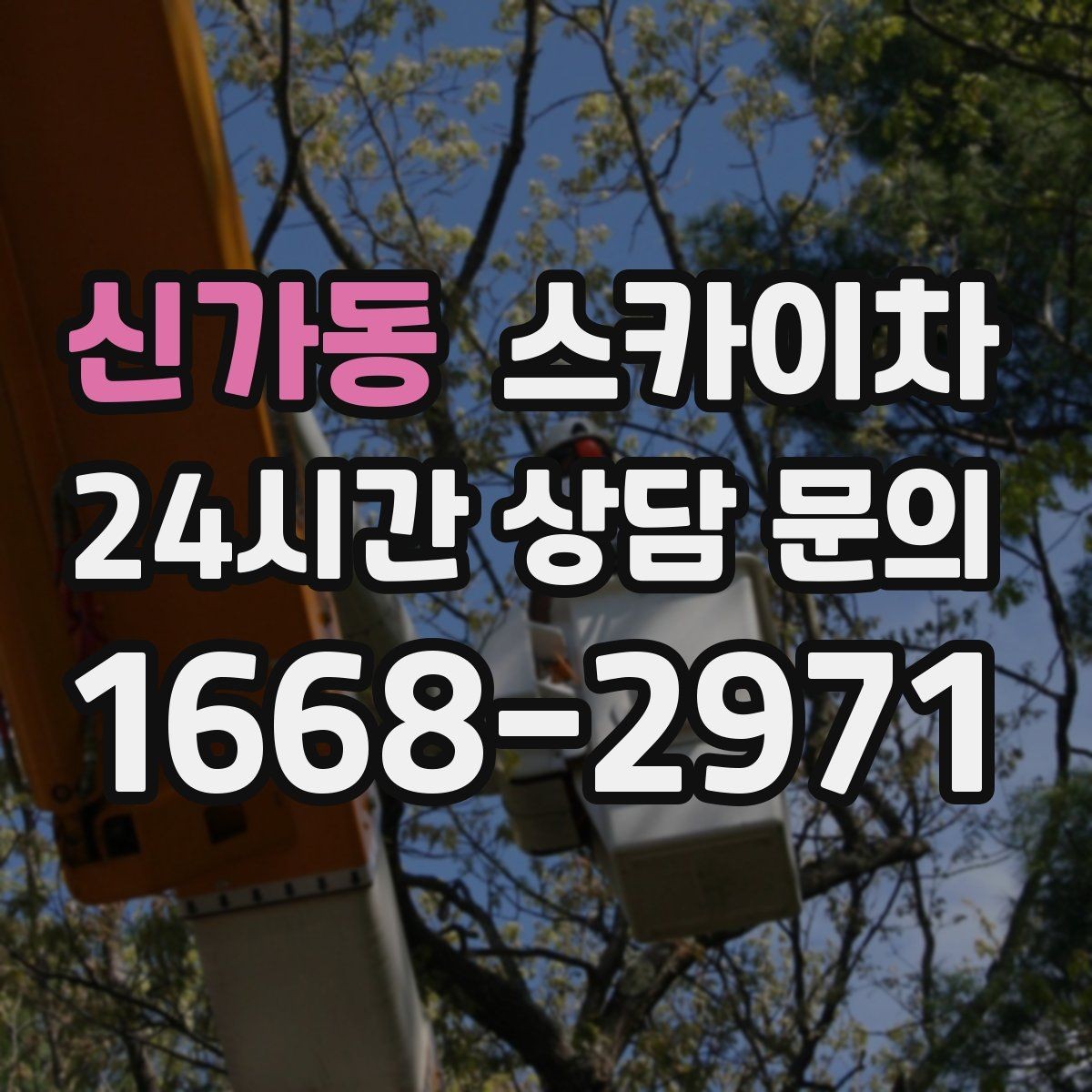 신가동 스카이차 창문 외부 방충망 교체 작업 가능할까