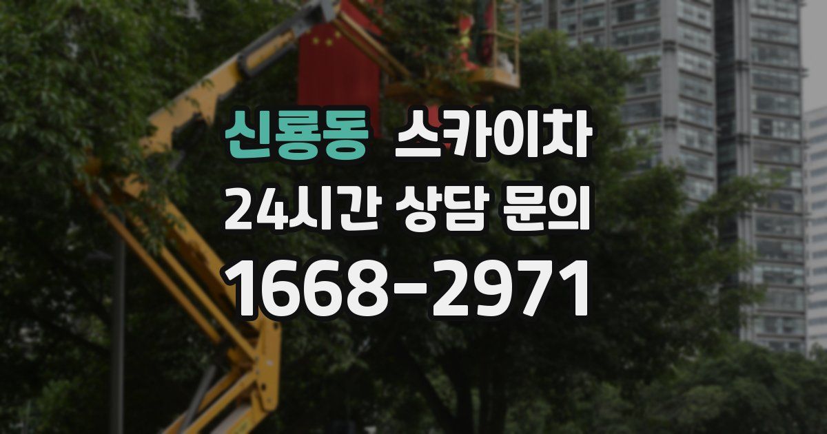 신룡동 스카이차