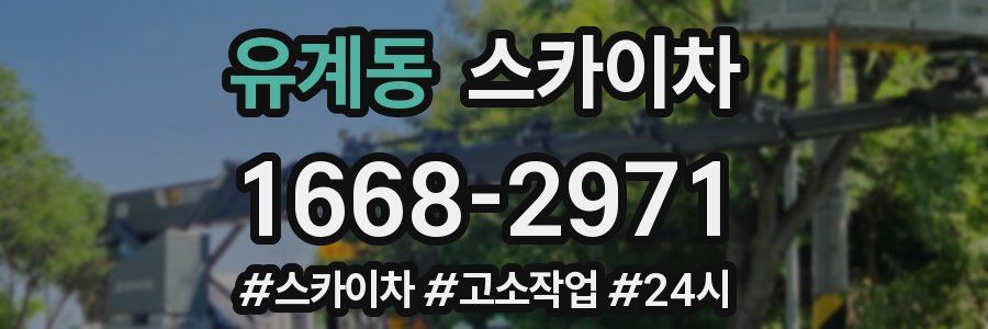 유계동 스카이차