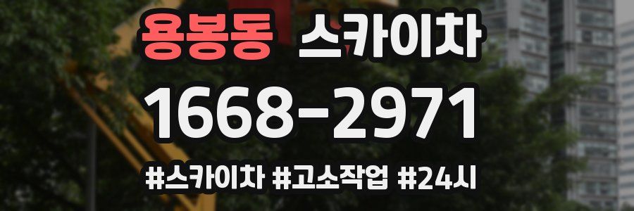 용봉동 스카이차