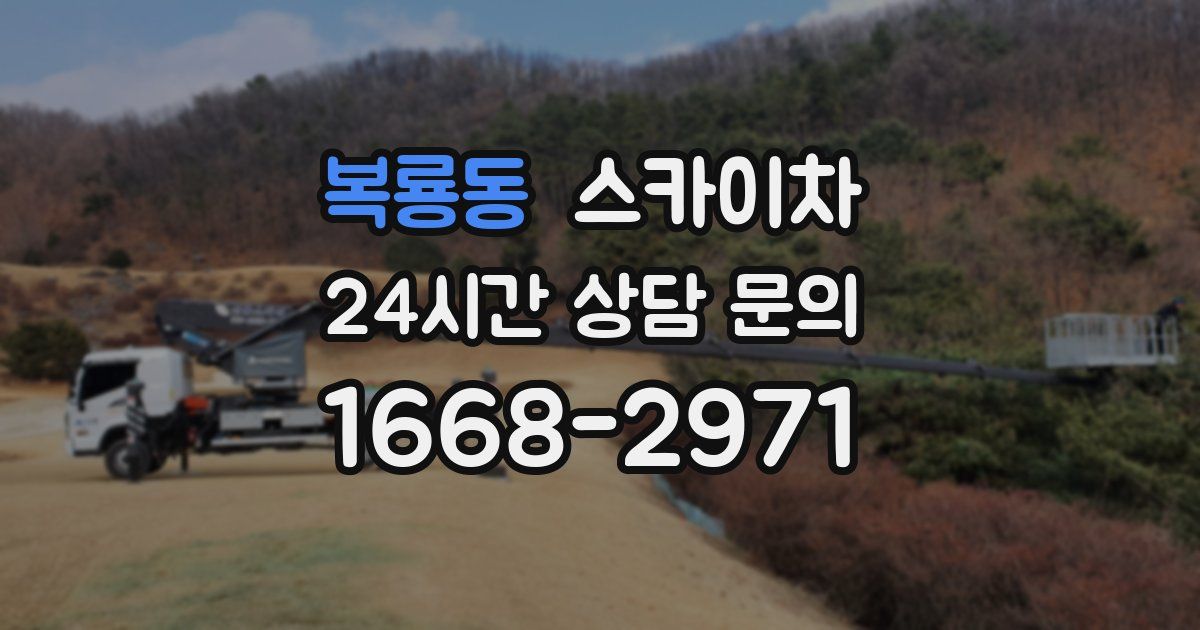 복룡동 스카이차