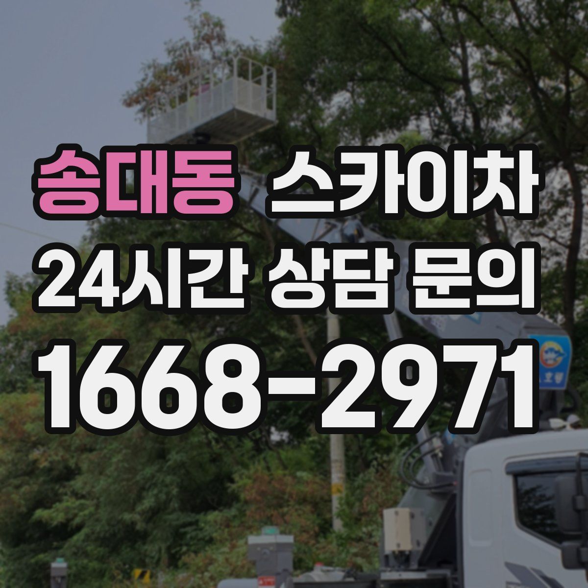 송대동 스카이차